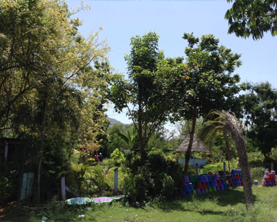 Sri Kamatchi Amman Horticultural Nursery - 30