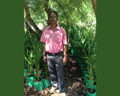 Sri Kamatchi Amman Horticultural Nursery - 30