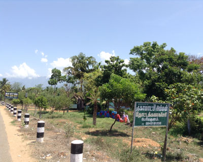 Sri Kamatchi Amman Horticultural Nursery - 30