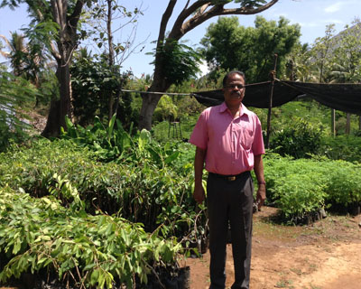 Sri Kamatchi Amman Horticultural Nursery - 30
